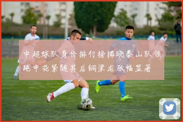 中超球队身价排行榜揭晓泰山队领跑申花紧随其后铜梁龙涨幅显著
