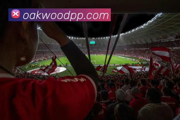 IM登录入口全站App